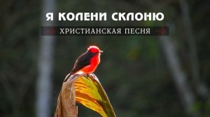 Я колени склоню и услышит всевышний - Христианская Песня