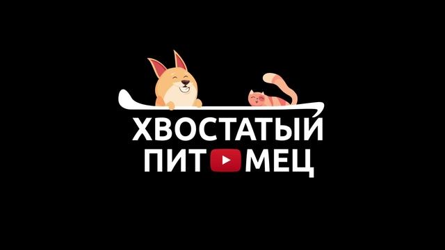 Вкусный запеченный корм для собак MERA с уткой и картофелем | ОБЗОР КОРМА