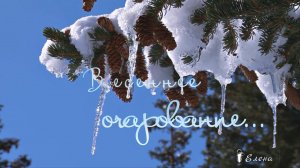 Весеннее очарование *