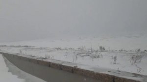 Снова корюшка декабрь 2021