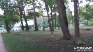 путешествие басика. басик на Козловской засеки и в ясной поляне 🚗