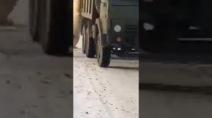 Арктика...  Белые медведи в поисках еды..