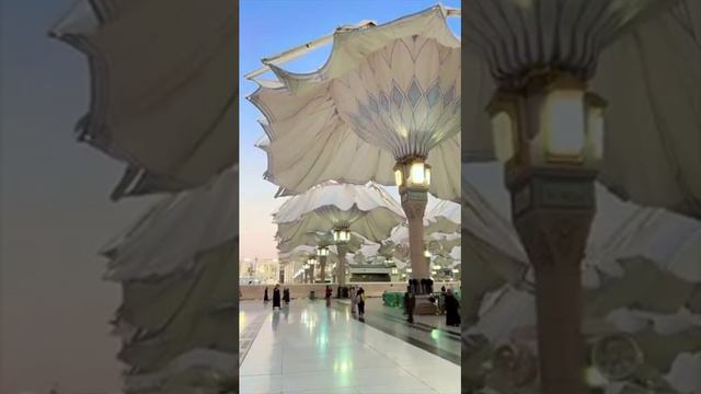 1000212415.mp4