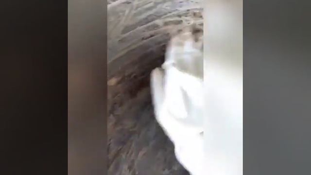 Казанды кантип агартуу керек? смотреть онлайн