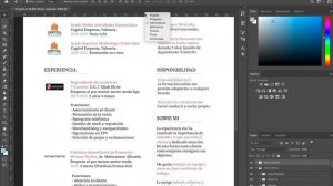 Paloma - 4º Actividad - Creación de CV con Photoshop