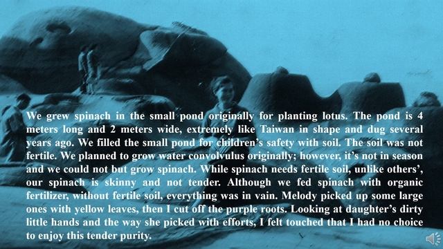 【Life Station】 67 Soil Powder (Oral Ed.) смотреть онлайн