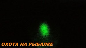 ОХОТА НА ВАЛЬДШНЕПА С ФОНАРЕМ