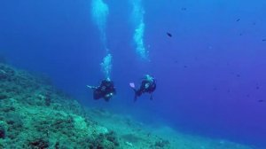 АЛЕКС БРЕЖНЕВ И ЕГО БАБЫ! ТАЙНЫ БЫВШИХ ЖЁН! КТО  ЭТА БЛОНДИНКА?#алексбрежнев#американаизнанку