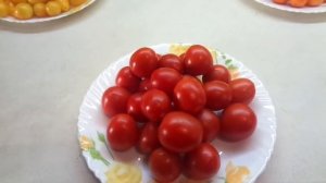 ТОМАТ ЛЯНА - ОН МОЖЕТ БЫТЬ ТАКИМ РАЗНЫМ! Ольга Чернова.