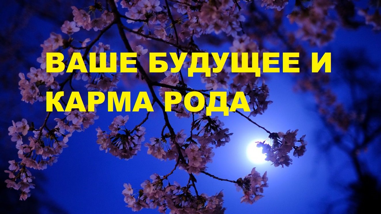 ЧТО МЕШАЕТ ДВИГАТЬСЯ К СЧАСТЬЮ. ВАШЕ БУДУЩЕЕ И КАРМ РОДА / Карты Таро расклад