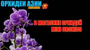 Магазин от Miki Orchid в Тайвани