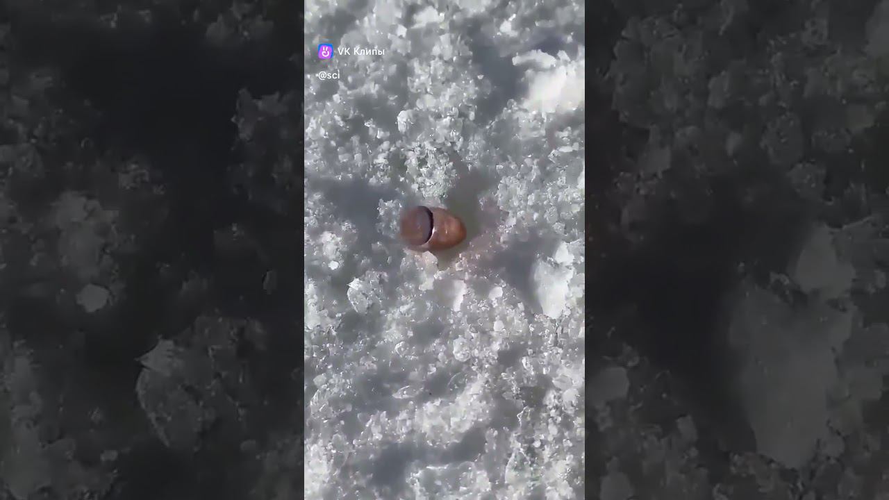 Пуля устала и прилегла смотреть онлайн