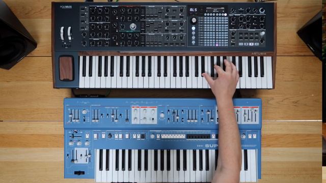 PolyBrute vs Super 6 // 2 Stunning Synths // demo and review of the main differences