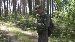 Лесные дороги, копать не перекопать