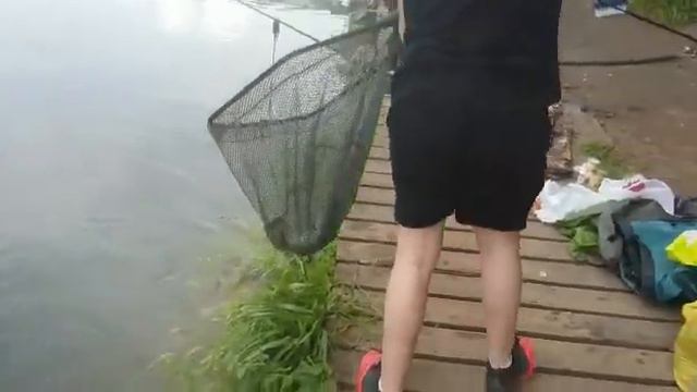 Поимка Африканского Сома смотреть онлайн