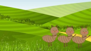 The Insect Song | Tiny TV Nursery Rhymes & Kids Songs