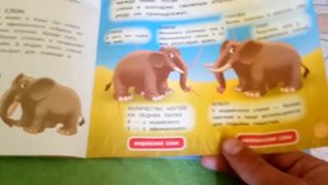 Обзор журнала "Животные дикой природы" №3 животные саванны слон. ДеАгостини (DeAgostini)