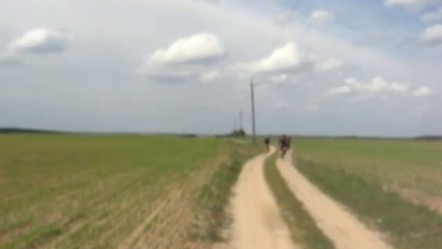 Княжичи (велопокатушка) смотреть онлайн