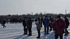 В Волжском  районе прошла выставка охотничьих собак