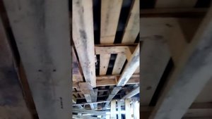 дровенник, сарай из поддонов, паллет