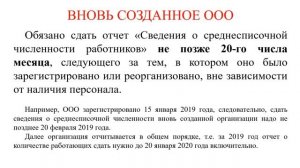 ООО и среднесписочная численность | О чем нельзя забыть после регистрации бизнеса?!