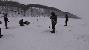 Берш этого года.Как ловить берша. Река Кама на лубине более 10 метров