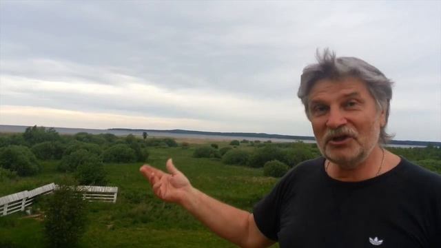 Селезнёв Александр , Кобылье Городище