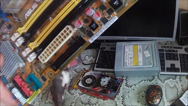 Обзор материнской платы Asus P5k Vm