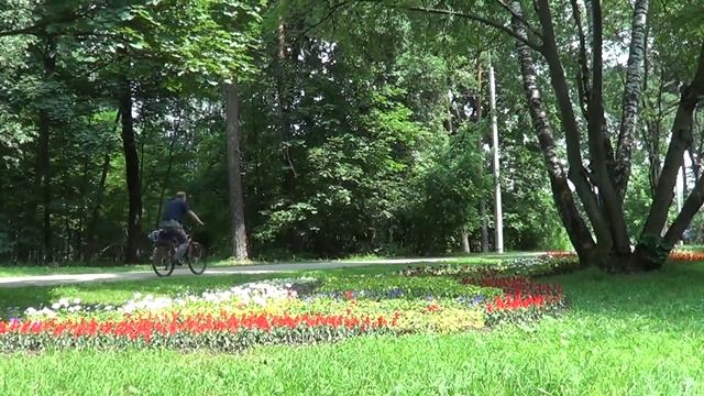 а вы любите сидеть на земле смотреть онлайн