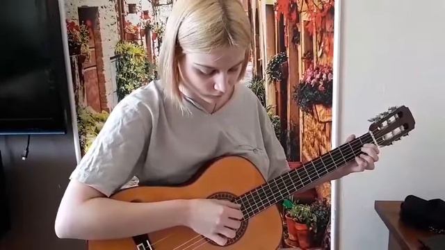 Одинокая гармонь.,на гитаре