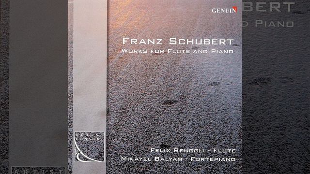 Duo Sonata in A Major, Op. 162, D. 574 (arr. for flute and fortepiano) : IV. Allegro смотреть онлайн