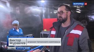 В Рассадном комплексе «Росток» высаживают рассаду