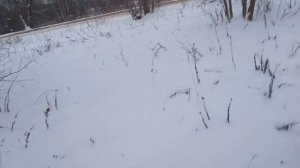 езда по полю на Volkswagen transporter t4 syncro))