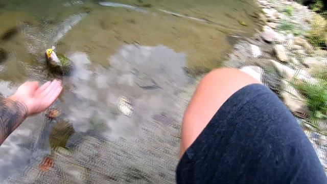 Эти воблеры КОСЯТ! Мой ТОП-8 воблеров на голавля 2020 смотреть онлайн