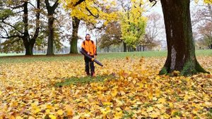 STIHL BR 450 C-EF | The backpack blower with Electrostart | That's why