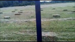 Сенокос 2016 минитрактором Синтай 220