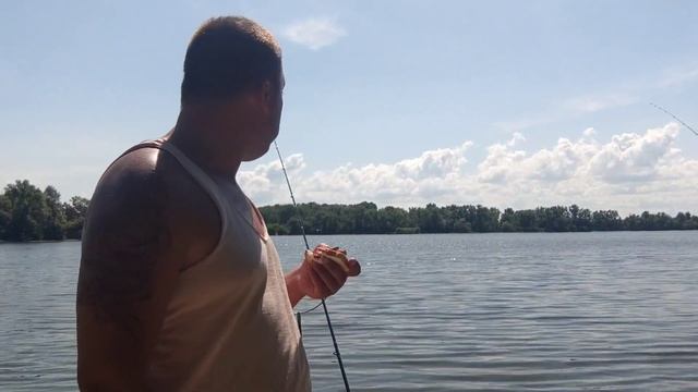 В поисках Сазана,залив реки Днепр 20.07.2022 Carp fishing смотреть онлайн
