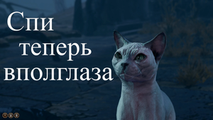 Baldur's Gate 3 - Опасная кошка "Стальной коготь"