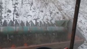23 января 2022 г. уборка подсолнуха, такого я ещё не видел, смотрим, комментируем!!