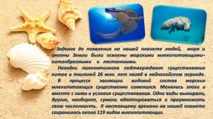 Эко - выставка «Кто в море живет?». К Всемирному дню защиты морских млекопитающих – 19 февраля.
