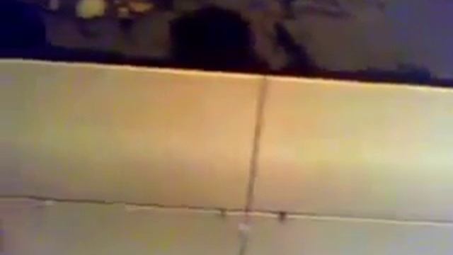 камелия 2340 св серая смотреть онлайн