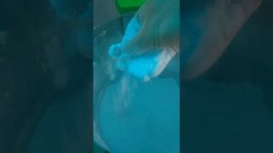 Пергамёт. Пчеловодный Комбайн 2 в 1. Перга и пудра на одном устройстве.