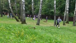 лазер так в санатории Случь