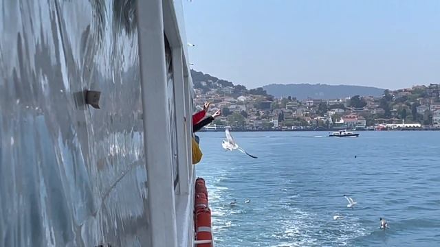 Стамбул. Корабль, Адалар. смотреть онлайн