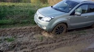 Renault Koleos 2.5L/2008/Маленькая грязь/Бездорожье