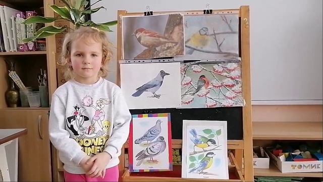 Птицы на наших кормушках