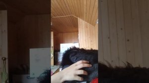 создание маски раптора (офуррение)