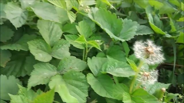 Влияние PR на общественность и общественное мнение смотреть онлайн