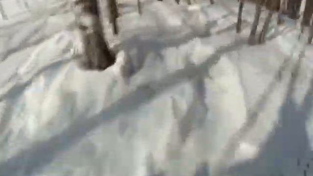 горнолыжная база ЗМЕИНАЯ ГОРА  г Облучье ЕАО