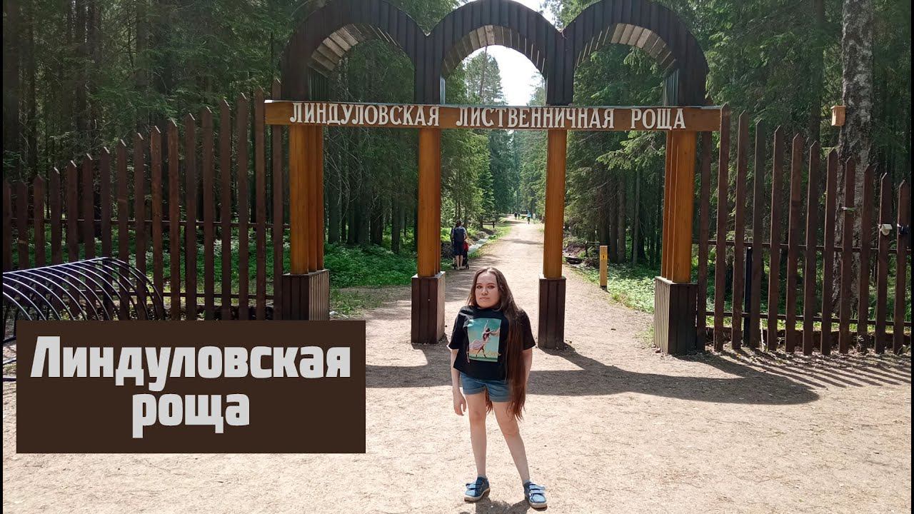Влог. Линдуловская роща. Ленинградская область. Эко тропа